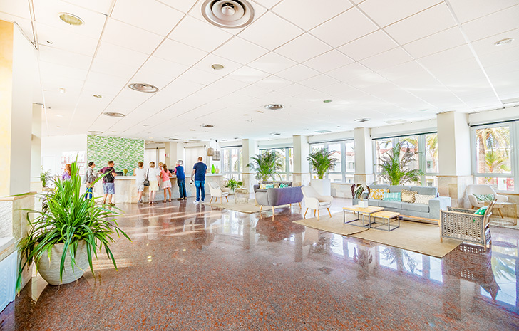 Hotel Koala Garden - Galeria